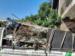 Trusted Pelion, SC Junk Removal Services Experts